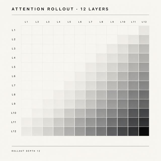 attention rollout · Brutalist Mono