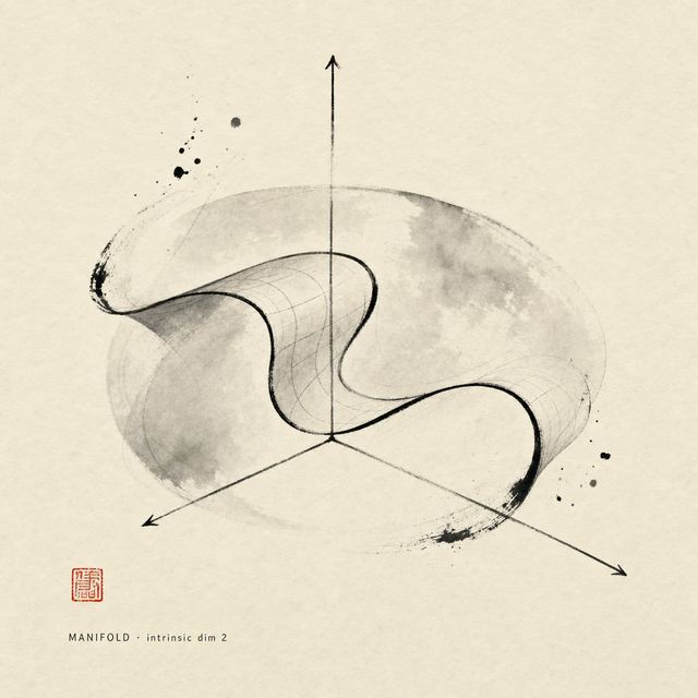 MANIFOLD · dim 2