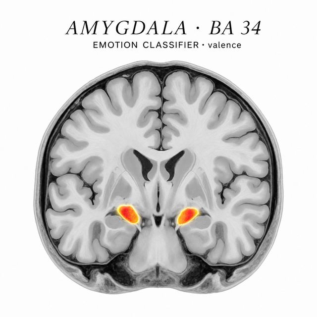 AMYGDALA