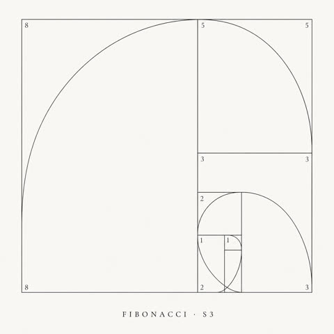 S3 · fibonacci spiral